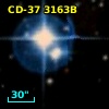 CD-37  3163B