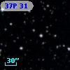 37P 31