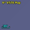 V* V576 Pup