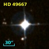 HD  49667