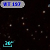 WT  197