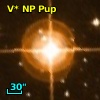 V* NP Pup