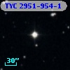 TYC 2951-954-1