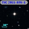 TYC 2951-978-1