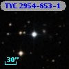 TYC 2954-853-1