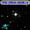 TYC 2954-1838-1