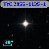 TYC 2955-1135-1