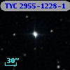 TYC 2955-1228-1