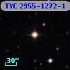 TYC 2955-1272-1