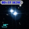 BD+37  1628C