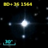 BD+36  1564
