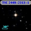 TYC 2449-2313-1