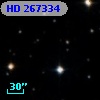 HD 267334