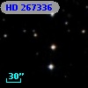 HD 267336