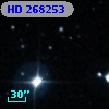 HD 268253