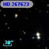 HD 267623