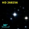 HD 268256