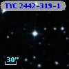 TYC 2442-319-1