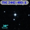TYC 2442-493-1