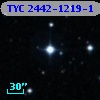 TYC 2442-1219-1