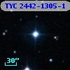 TYC 2442-1305-1