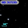 HD 267599