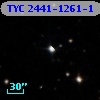 TYC 2441-1261-1