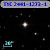 TYC 2441-1273-1