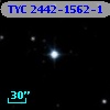 TYC 2442-1562-1