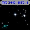 TYC 2442-1852-1