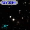 NSV  3394