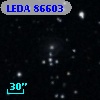 LEDA   86603