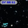 SV* WR    81