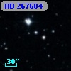 HD 267604
