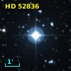 HD  52836