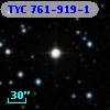 TYC  761-919-1