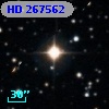 HD 267562