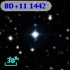 BD+11  1442