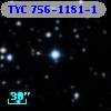 TYC  756-1181-1
