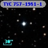 TYC  757-1981-1