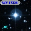 NSV 17338