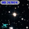 HD 267074