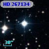 HD 267134