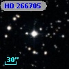 HD 266705