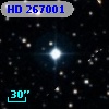 HD 267001