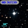 HD 267239