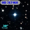 HD 267460