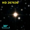 HD 267636
