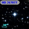 HD 267077