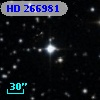 HD 266981